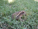 Jess_DaddyAlex&Toadie (4)